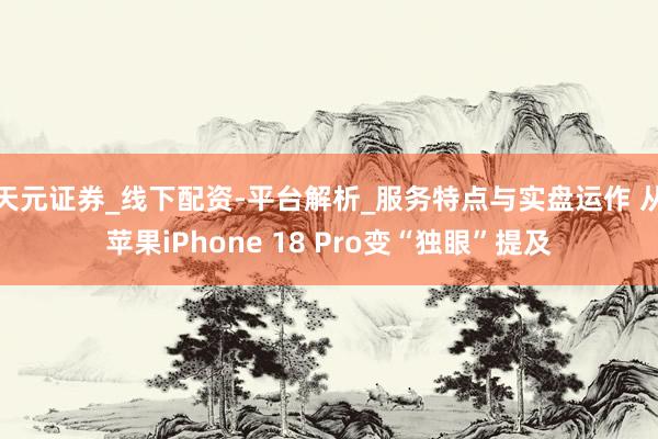 天元证券_线下配资-平台解析_服务特点与实盘运作 从苹果iPhone 18 Pro变“独眼”提及